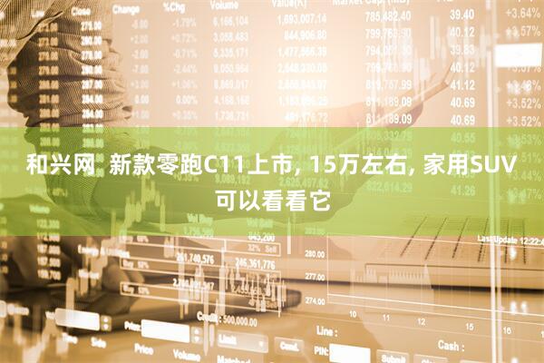 和兴网  新款零跑C11上市, 15万左右, 家用SUV可以看看它